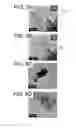 Fig. 06 - MICRO-SCALE VEHICLE HAVING A PROPULSION DEVICE