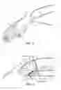 Fig. 03 - Seal assembly