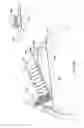 Fig. 14 - Apparatus and method for maintaining a pattern of non-rigid objects in a desired position and orientation