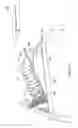 Fig. 15 - Apparatus and method for maintaining a pattern of non-rigid objects in a desired position and orientation