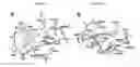 Fig. 06 - 2-aminoquinoline-based compounds for potent and selective neuronal nitric oxide synthase inhibition