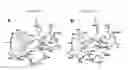 Fig. 08 - 2-aminoquinoline-based compounds for potent and selective neuronal nitric oxide synthase inhibition