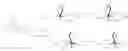 Fig. 06 - Methods of resolving racemic mixture to obtain (−)-huperzine A