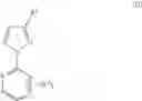Fig. 03 - PROCESS FOR PREPARING N-SUBSTITUTED 1H-PYRAZOLE-5-CARBOXYLIC ACID COMPOUNDS AND DERIVATIVES THEREOF