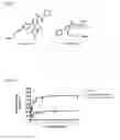 Fig. 02 - Novel Cannabinergic Nitrate Esters and Related Analogs