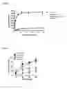 Fig. 03 - Novel Cannabinergic Nitrate Esters and Related Analogs