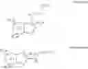 Fig. 06 - Triazolopyridine compounds and methods for the treatment of cystic fibrosis