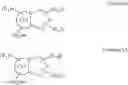 Fig. 272 - Triazolopyridine compounds and methods for the treatment of cystic fibrosis