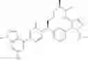 Fig. 491 - Pyrimidinones as factor XIa inhibitors