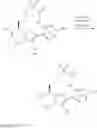 Fig. 90 - Pyrimidinones as factor XIa inhibitors
