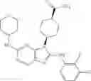 Fig. 137 - Substituted aminopurine compounds, compositions thereof, and methods of treatment therewith