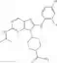 Fig. 207 - Substituted aminopurine compounds, compositions thereof, and methods of treatment therewith