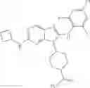 Fig. 240 - Substituted aminopurine compounds, compositions thereof, and methods of treatment therewith