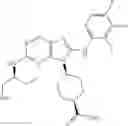Fig. 262 - Substituted aminopurine compounds, compositions thereof, and methods of treatment therewith