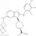 Fig. 305 - Substituted aminopurine compounds, compositions thereof, and methods of treatment therewith