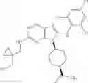 Fig. 316 - Substituted aminopurine compounds, compositions thereof, and methods of treatment therewith
