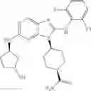 Fig. 319 - Substituted aminopurine compounds, compositions thereof, and methods of treatment therewith