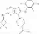 Fig. 345 - Substituted aminopurine compounds, compositions thereof, and methods of treatment therewith