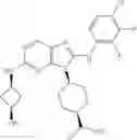 Fig. 421 - Substituted aminopurine compounds, compositions thereof, and methods of treatment therewith