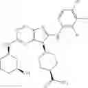 Fig. 471 - Substituted aminopurine compounds, compositions thereof, and methods of treatment therewith