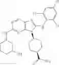 Fig. 484 - Substituted aminopurine compounds, compositions thereof, and methods of treatment therewith