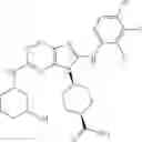 Fig. 486 - Substituted aminopurine compounds, compositions thereof, and methods of treatment therewith