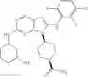 Fig. 488 - Substituted aminopurine compounds, compositions thereof, and methods of treatment therewith