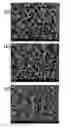Fig. 01 - Superoleophobic and/or superhydrophobic material, process for preparing same and applications thereof