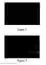 Fig. 03 - Superoleophobic and/or superhydrophobic material, process for preparing same and applications thereof