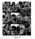 Fig. 06 - Superoleophobic and/or superhydrophobic material, process for preparing same and applications thereof