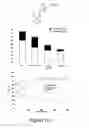 Fig. 09 - Superoleophobic and/or superhydrophobic material, process for preparing same and applications thereof