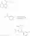Fig. 505 - ALKYNYL ALCOHOLS AND METHODS OF USE