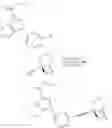 Fig. 863 - ALKYNYL ALCOHOLS AND METHODS OF USE