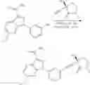 Fig. 907 - ALKYNYL ALCOHOLS AND METHODS OF USE