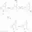Fig. 31 - Modulators of 5-HT receptors and methods of use thereof