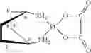 Fig. 42 - Method of Treating Colorectal Cancer