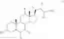 Fig. 13 - TGR5 Modulators and Methods of Use Thereof