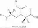 Fig. 11 - Conformationally-preorganized, MiniPEG-containing gamma-peptide nucleic acids