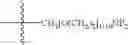 Fig. 14 - Conformationally-preorganized, MiniPEG-containing gamma-peptide nucleic acids