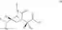 Fig. 29 - Conformationally-preorganized, MiniPEG-containing gamma-peptide nucleic acids