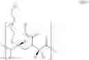 Fig. 42 - Conformationally-preorganized, MiniPEG-containing gamma-peptide nucleic acids