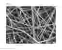 Fig. 11 - Mussel-inspired bioactive surface coating composition generating silica nanoparticles