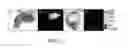 Fig. 21 - CHLOROTOXIN CONJUGATES AND METHODS OF USE THEREOF