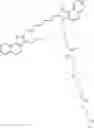 Fig. 291 - CHLOROTOXIN CONJUGATES AND METHODS OF USE THEREOF