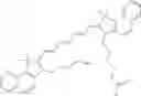 Fig. 338 - CHLOROTOXIN CONJUGATES AND METHODS OF USE THEREOF