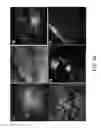 Fig. 37 - CHLOROTOXIN CONJUGATES AND METHODS OF USE THEREOF