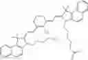 Fig. 44 - CHLOROTOXIN CONJUGATES AND METHODS OF USE THEREOF