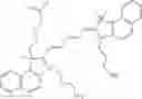 Fig. 55 - CHLOROTOXIN CONJUGATES AND METHODS OF USE THEREOF