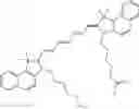 Fig. 56 - CHLOROTOXIN CONJUGATES AND METHODS OF USE THEREOF