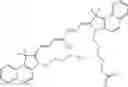 Fig. 61 - CHLOROTOXIN CONJUGATES AND METHODS OF USE THEREOF